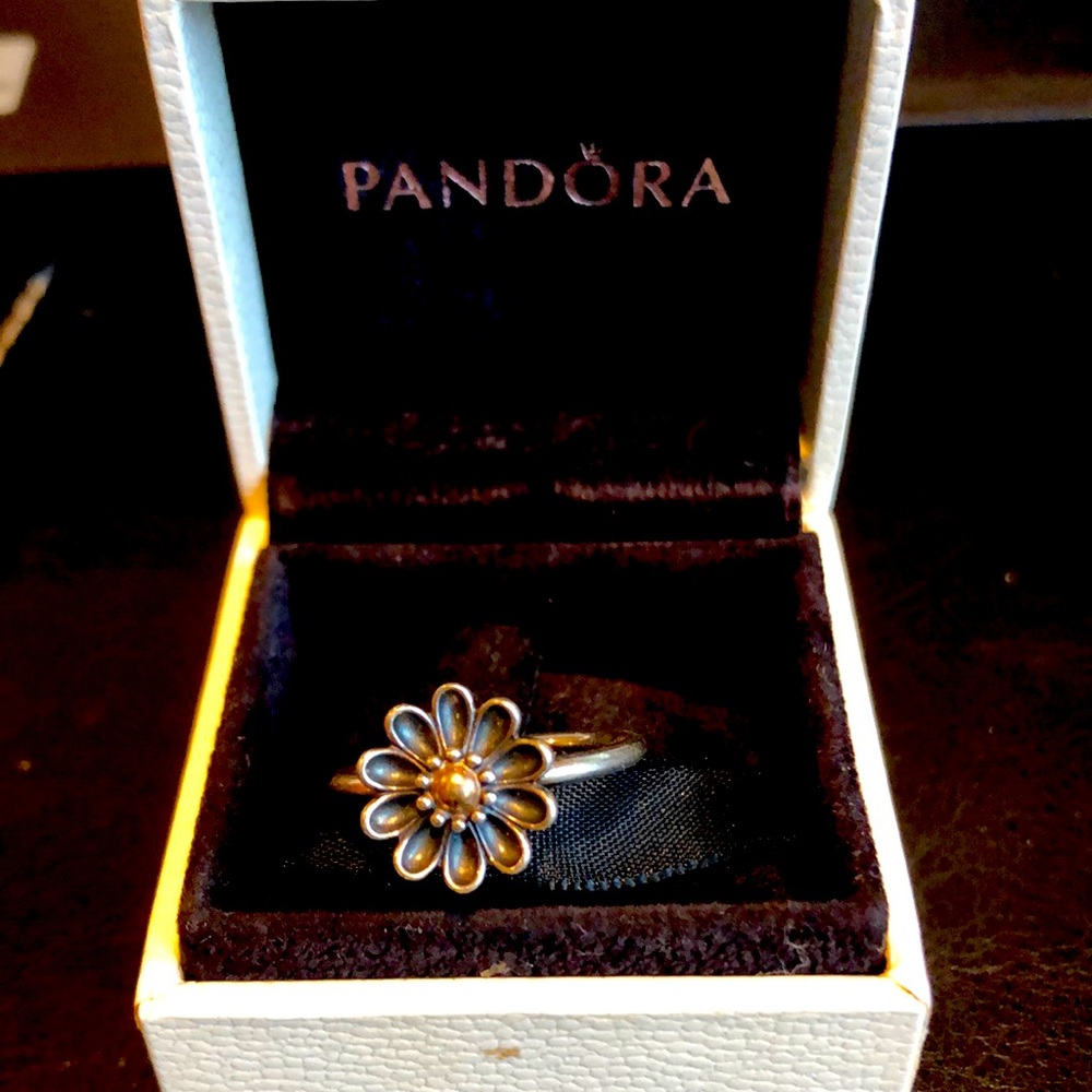 Pandora two-tone ring